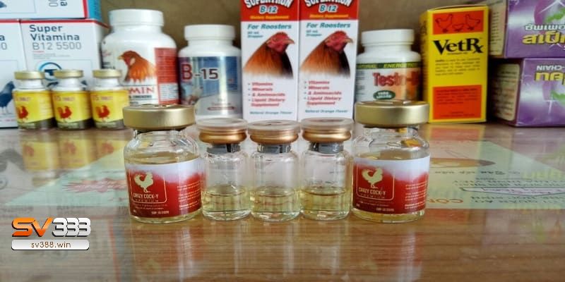 Top 5 Loại Thuốc Tăng Lực Cho Gà Đá Tốt Nhất Hiện Nay? 1 Thuốc tăng lực cho gà đá là gì?