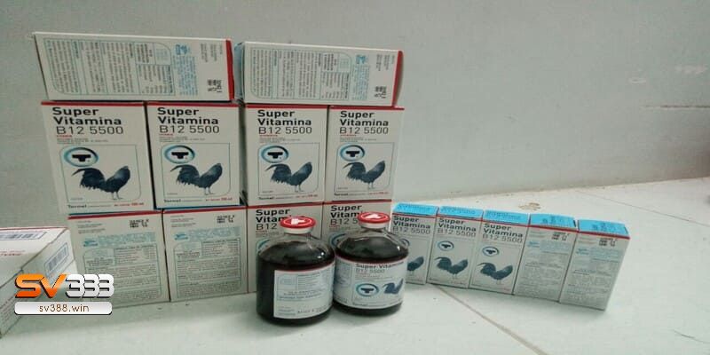 Top 5 Loại Thuốc Tăng Lực Cho Gà Đá Tốt Nhất Hiện Nay? 2 Thuốc Super Vitamina B12 tăng lực cho gà đá