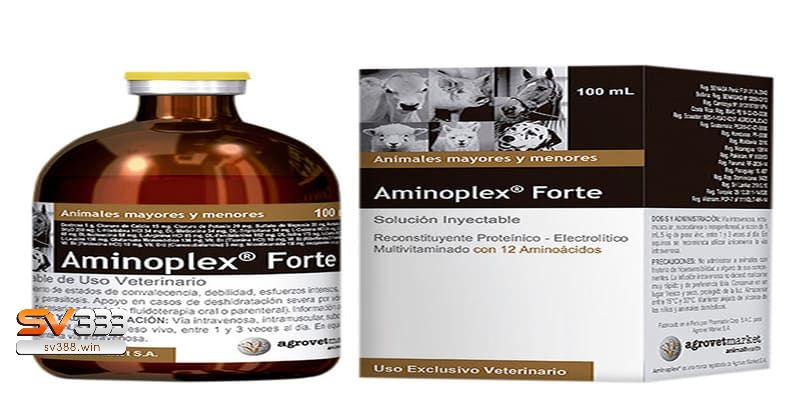 Top 5 Loại Thuốc Tăng Lực Cho Gà Đá Tốt Nhất Hiện Nay? 3 Thuốc Compound Amino Acid cho gà chọi