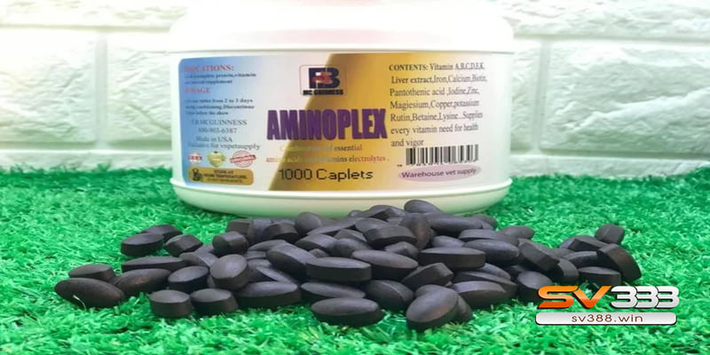 Top 5 Loại Thuốc Tăng Lực Cho Gà Đá Tốt Nhất Hiện Nay? 4 Thuốc tăng lực cho gà đá Aminoplex