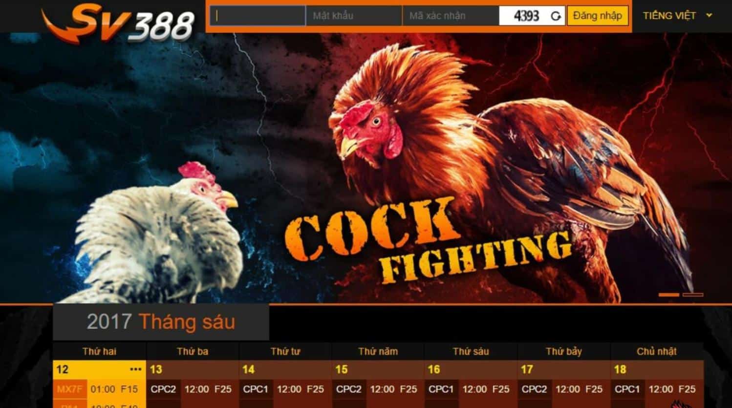 Hé lộ cách đá gà mạng luôn thắng từ dân chuyên cá cược 2 SV388 thương hiệu cá cược đá gà đẳng cấp