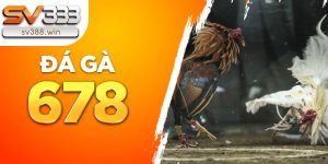 da ga 678 2