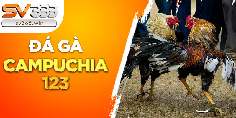 Đá gà Campuchia 123 – Địa chỉ cá cược của tín đồ cuồng gà chọi 1 Đá gà Campuchia 123 được nhiều người ưa chuộng