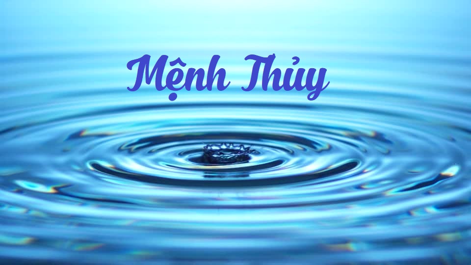 Cách xem màu mạng gà đá theo ngày chuẩn xác 100% 6 Gà ô thuộc mệnh Thủy