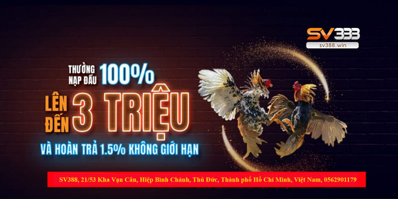S128 đá gà – Trang đăng ký đá gà mạng hàng đầu Việt Nam 5 Nạp tiền vào tài khoản hội viên đá gà S128