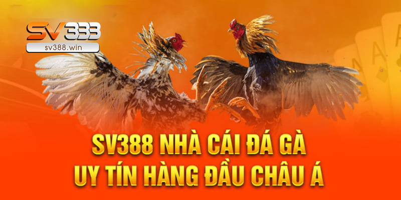SV388 – Link Đá Gà SV388 Hôm Nay Không Bị Chặn 3 sv388 3 1 1