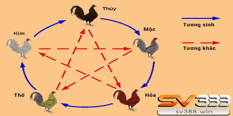 Hướng dẫn xem ngày đá gà tốt giúp chiến kê thắng trận 2 Xem ngày đá gà theo ngũ hành