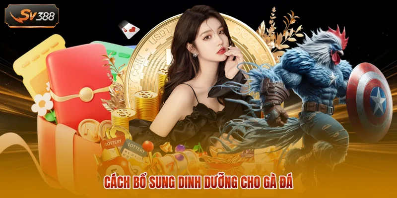 Cách Tập Luyện Cho Gà Đá Cựa Sắt Săn Chắc Hiệu Quả Cực Cao 3 Cách bổ sung dinh dưỡng cho gà đá