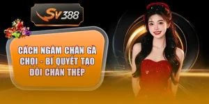 cach ngam chan ga choi thumb 5