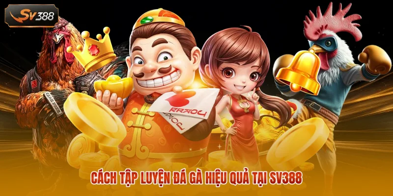 Cách Tập Luyện Cho Gà Đá Cựa Sắt Săn Chắc Hiệu Quả Cực Cao 2 Cách tập luyện đá gà hiệu quả tại SV388