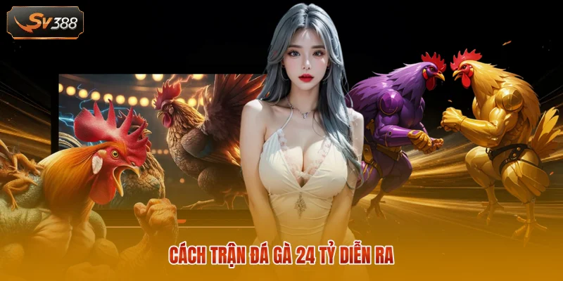 Trận Đá Gà 24 Tỷ - Thông Tin Về Cuộc Đối Đầu Đình Đám 1 Cách trận đá gà 24 tỷ diễn ra