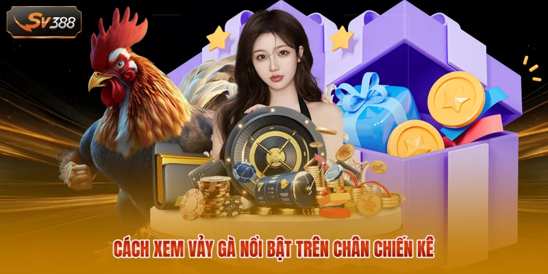 Cách Xem Vảy Gà Chuẩn Xác - Bí Quyết Chọn Thần Kê Bất Bại 2 Cách xem vảy gà nổi bật trên chân chiến kê