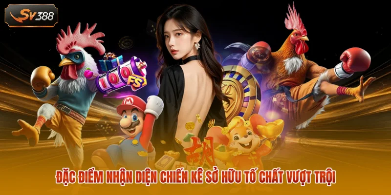 Top Gà Chọi Hay Nhất Thế Giới 2026 Với 10 Dòng Nổi Bật 1 Đặc điểm nhận diện chiến kê sở hữu tố chất vượt trội