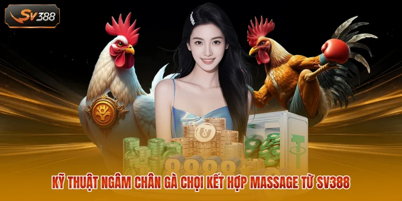 Cách Ngâm Chân Gà Chọi - Bí Quyết Tạo Đôi Chân Thép 3 Kỹ thuật ngâm chân gà chọi kết hợp massage từ SV388