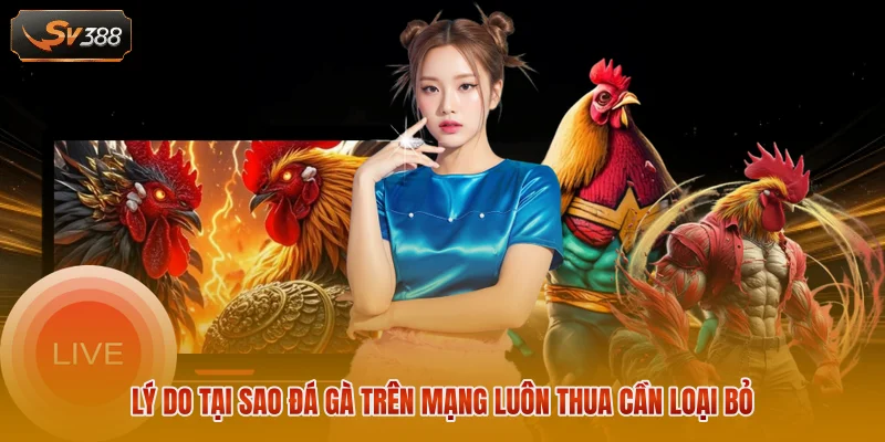 Tại Sao Đá Gà Trên Mạng Luôn Thua? Nguyên Nhân Thực Tế 2 Lý do tại sao đá gà trên mạng luôn thua cần loại bỏ