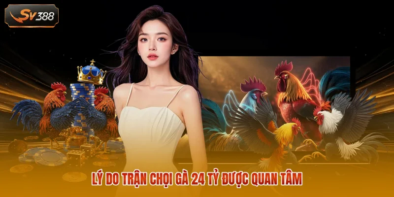 Trận Đá Gà 24 Tỷ - Thông Tin Về Cuộc Đối Đầu Đình Đám 3 Lý do trận chọi gà 24 tỷ được quan tâm