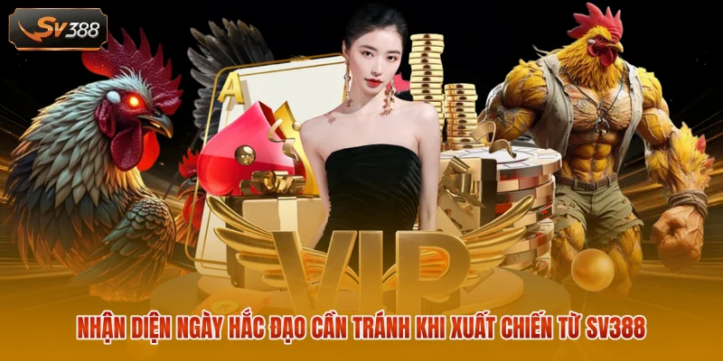Màu Mạng Gà Đá Hôm Nay Theo Luật Ngũ Hành Chuẩn Xác 3 Nhận diện ngày hắc đạo cần tránh khi xuất chiến từ SV388