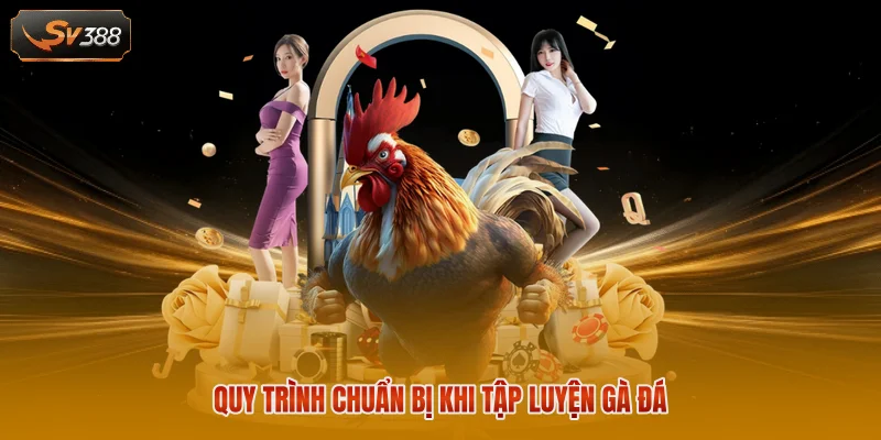 Cách Tập Luyện Cho Gà Đá Cựa Sắt Săn Chắc Hiệu Quả Cực Cao 1 Quy trình chuẩn bị khi tập luyện gà đá