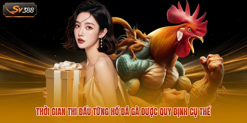 Giải Đáp Một Hồ Đá Gà Bao Nhiêu Phút Chuẩn Xác Nhất 1 Thời gian thi đấu từng hồ đá gà được quy định cụ thể