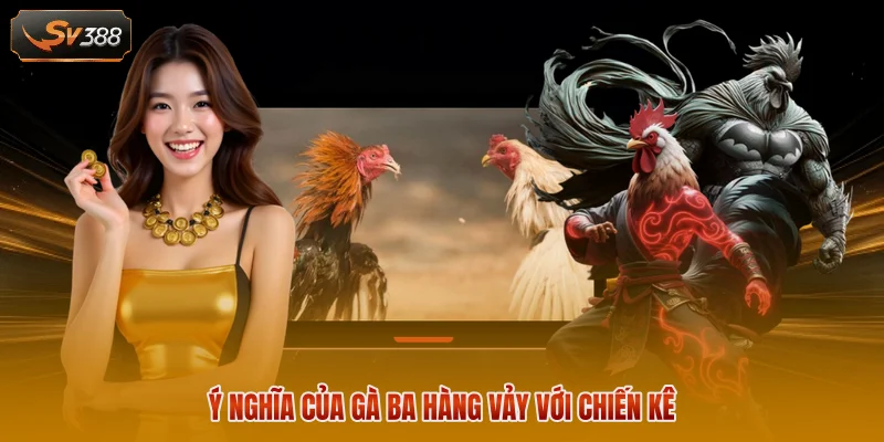 Gà 3 Hàng Vảy - Đặc Điểm Nhận Biết Và Cách Xem Chân 3 Ý nghĩa của gà ba hàng vảy với chiến kê