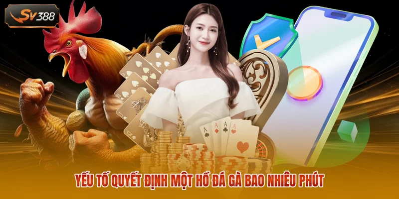 Giải Đáp Một Hồ Đá Gà Bao Nhiêu Phút Chuẩn Xác Nhất 2 Yếu tố quyết định một hồ đá gà bao nhiêu phút